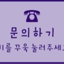 개네가 고양이네 이미지