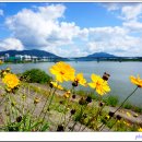 해바라기어린이공원 이미지