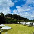 도그베이 이미지