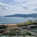 거창유리 앞 횡단보도 | 감악산 아스타 국화, 거창 핫플 직접 다녀온 후기