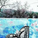 담장너머 이미지