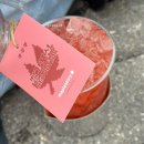 나음펫 | 롯데월드 메이플스토리 첫날 방문! 콜라보 굿즈,가챠,음식,포토존 후기