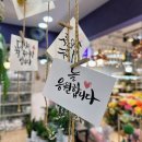 대전둔산꽃집비올레뜨