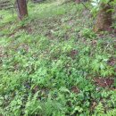 광리농장 이미지