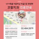 정연치과기공소 | 방이동치과 발치 교정으로 충치 예방할 수 있어요
