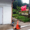 붐비네식당 이미지