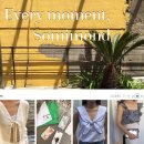 소미몬트 이미지