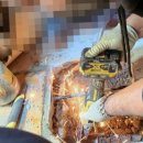 당산동 하수구컴퍼니, 영등포싱크대막힘하수구막힘변기막힘배수구배관막힘뚫는업체누수 다녀온 후기예요!
