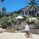 명환목장 2 | 제주도 애견동반 3박4일 여행기! 대형견 숙소/카페/식당🐶