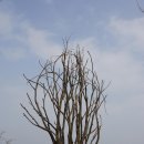 여강길(3-1코스 강천섬길) 이미지