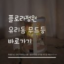 로즈화이트 | 여자친구 감동시키는 화이트데이 선물, 오로라 로즈 무드등 후기