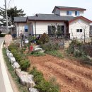 선원면-6 Daum카페