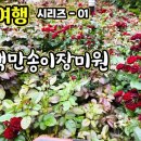 장미공원A 이미지