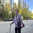 어머니의 생신일지… 91살 이미지