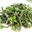 그리고봄 이미지