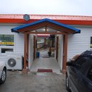 주남오리알 이미지