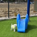 개편한 스쿨 이미지