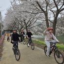 칠성자전거 이미지