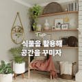 정화침장 이미지