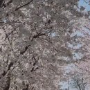 가현1길 이미지