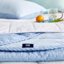 모던하우스 이미지