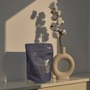 그린특수세탁 | 블루워시 캡슐세제 시그니처 코튼향 성분 분석 (저자극, 어린이 안전, 세척력, 비건, 할인정보)