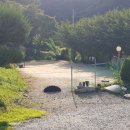 아산청풍농장펜션 이미지