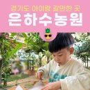 은하수농장 | [경기도 아이랑 갈만한 곳] 백향과랑 스타프루츠도 직접 딴 즐거운 농장체험 은하수농원 내돈내산 후기