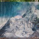 강아지가정부 이미지