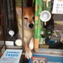 담배가게 이미지