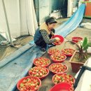 고남농장 이미지