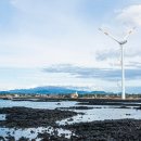 세화 동백그늘 | 제주도에 숨겨진 보석 같은 여름 여행지!