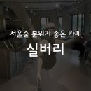 실버리SILVERY 이미지