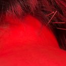 모두본한의원 이미지