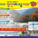 배내골사과정보화마을 이미지