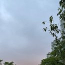 예산 산성주공 세븐일레븐 | 2월 부동산 임장 준비(경기도 성남편)