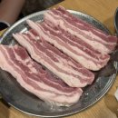 춘춘갈매기 | 대구 경북대맛집 <춘춘갈매기> 삼겹살 추천 (시그니처 갈매기살) 로컬맛집