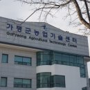 최용환농장 이미지