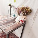 도담도담이발소 이미지