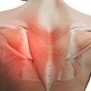 신중동PT 명품피티 이미지