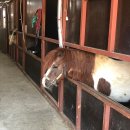 삼덕목장 이미지