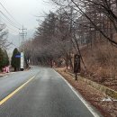 중미산모텔