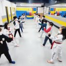 청명태권도장 이미지