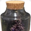 더진정성 이미지