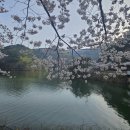 코리아 탑 태권도장 이미지