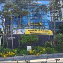 플러스펫 이미지