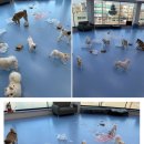 맛객미식쇼 이미지