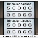 [강남역, 서초동, 역삼동, 양재동] 프리폼 설계 안광학 렌즈 ZEISS 클리어뷰 렌즈 + LINDBERG MORTEN 후기