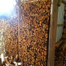 춘양농기계임대사업소 이미지