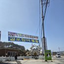안면도해비알꽃게1번지 | [태안 여행] 반려동반식당 애견전용룸이 있는 안면도 해비알꽃게